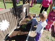 Zakládáme bylinkovou zahrádku